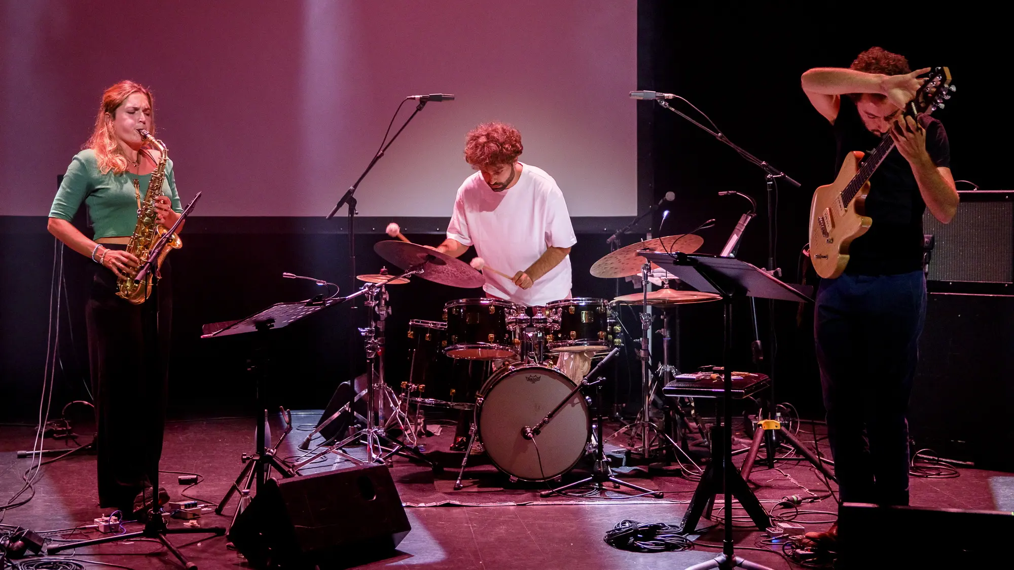 Photo de concert Meije